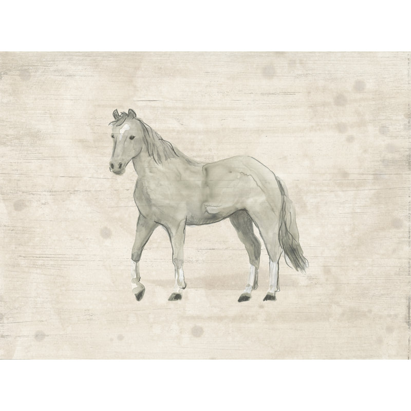 Antique Equine Sketch IV by June Erica Vess - Wrapped Canvas Print, 30 cm H x 46 cm W
