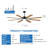 Modern Ceiling Fan With Reversible Quiet DC Motor-852865344