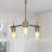 Aaroosh 3 - Light Iron Dimmable Chandelier