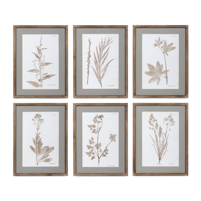 Framed Botanical Print