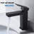 Single Hole Bathroom Faucet with Drain Assembly, Single Handle Bathroom Sink Faucet with Pop-up Drain Stopper-104438628