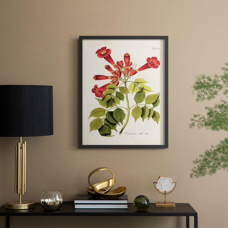 «Tropical Trumpet Flowers II», reproduction encadrée - bois massif, H 11 po x l 9 po, Noir, noir, noir, noir