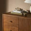 Sullivan Chest-Saddle Tan-1044715774