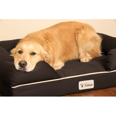 Orthopedic Polyester Pet Bed