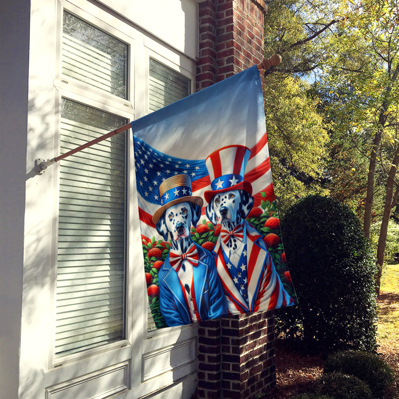 Drapeau «All American House», Dalmatien