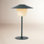 Ani Novelty Lamp
