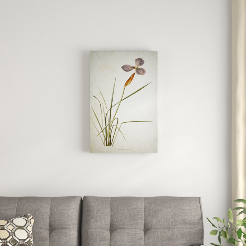«Botanical Plate XV», reproduction d'impression sur toile, H 24 po x l 36 po x P 1,5 po