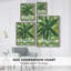 «Tropical Island Leaves II», reproduction encadrée - bois massif-2145975824