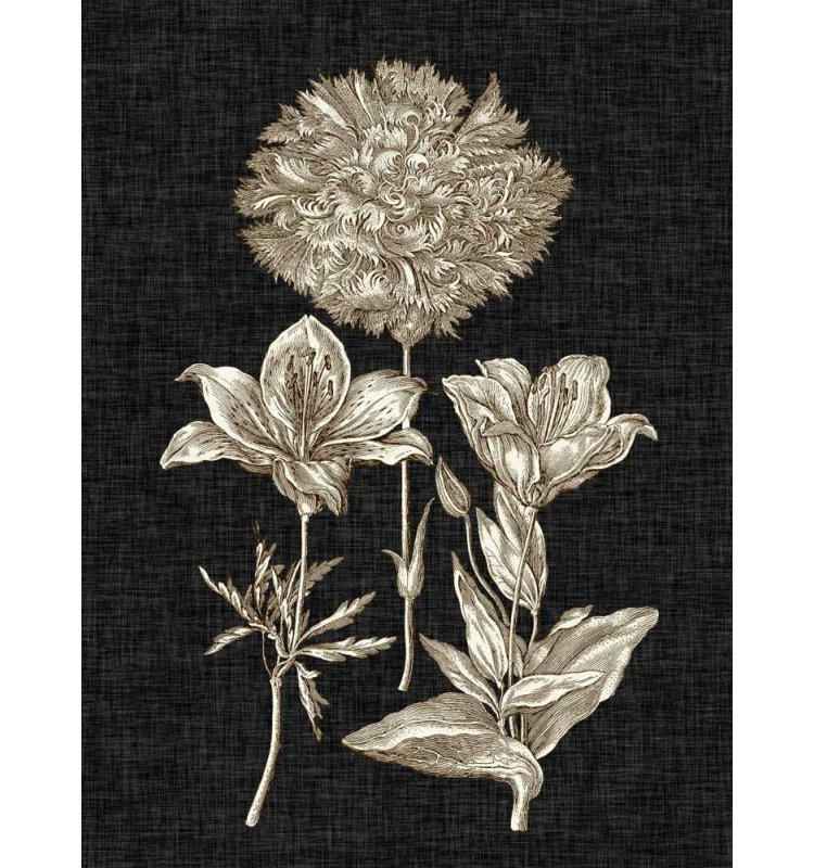 Art sur toile tendue Red Barrel Studio® Vision Studio Gallery: Dramatic Chintz IV, H 36 po x l 28 po