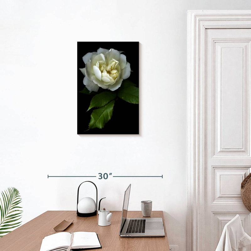 Harnek Lone White Rose, 24" H x 16" W