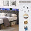 Grand lit avec tête de lit et rangement luxueux - Structure en métal, gris, sans sommier, rangement à ressorts silencieux, transport facile à DEL-116815191