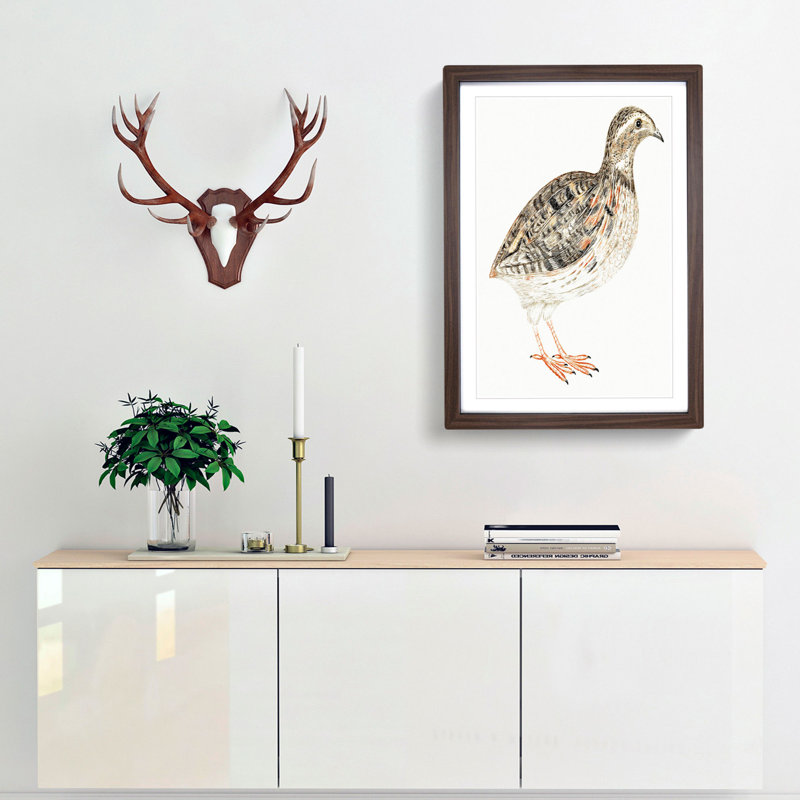 A Quail by Johan Teyler - Single Picture Frame Painting, Walnut Framed, 63cm H x 45cm W x 2cm D