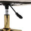 Aeliana Desk Chair-1315377154