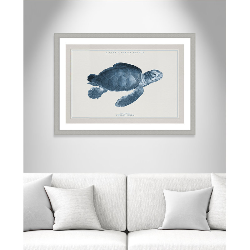Alyiah «Atlantic Marine Museum Turtle II», reproduction d'art graphique encadrée sur papier en bleu / beige