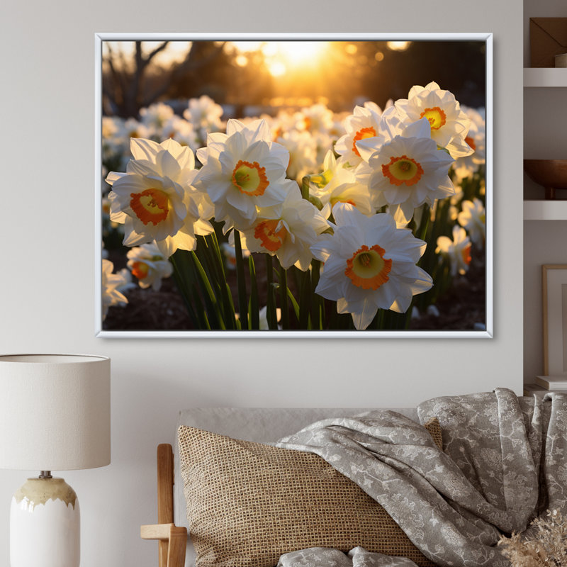 Daffodils Field Sunrise V - Art mural sur toile florale, Cadre flottant blanc, 30" H x 40" W