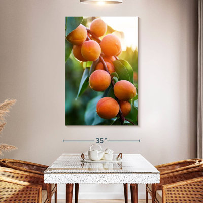 Apricots On A Branch