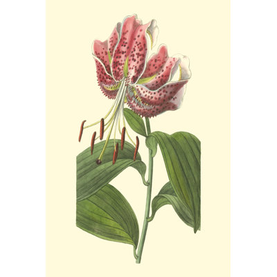 Japanese Lily 1 Piece Wrapped Canvas Painting