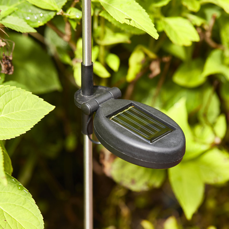 Low Voltage Solar Powered LED Pathway Light Pack