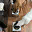 Customer photo 2 of 3