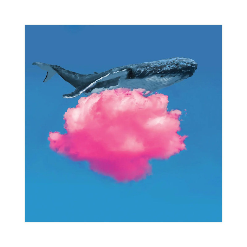 Whale Resting by David Loblaw - Wrapped Canvas Print, 30.48 cm H x 30.48 cm W