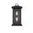 Merideth Outdoor Wall Sconce in Black