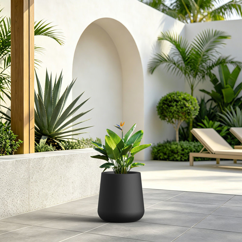 Jardinière en béton incurvée H 12 po x l 9,5 po pour plantes d'intérieur et d'extérieur avec drainage, gris anthracite foncé