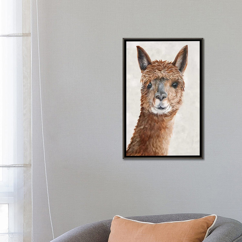 «Suri Alpaca II» par Eva Watts - reproduction d'art, Aucun mat, Toile avec cadre gris, H 26 po x l 18 po x 1,5 po