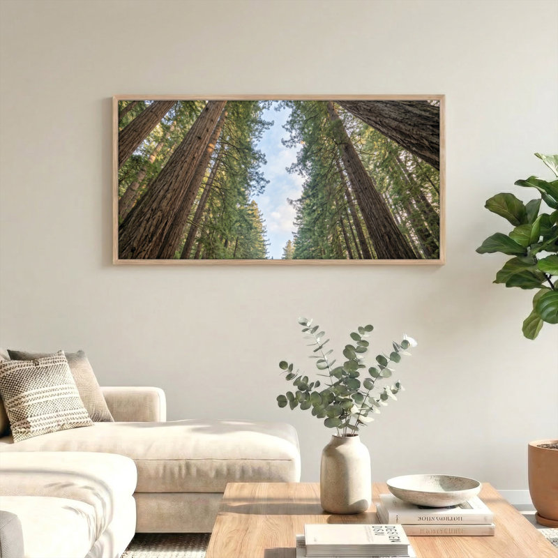 Ensemble de 1 tableau sur toile « Ciel de forêt », L 40 po x H 20 po, Naturel
