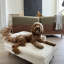 Coussin pour chien confortable et imperméable Comfy