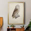 French Owls V, impression sur papier encadrée-1310601185-1310601184