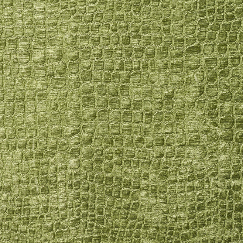 Tissu velours lime alligator, Lime