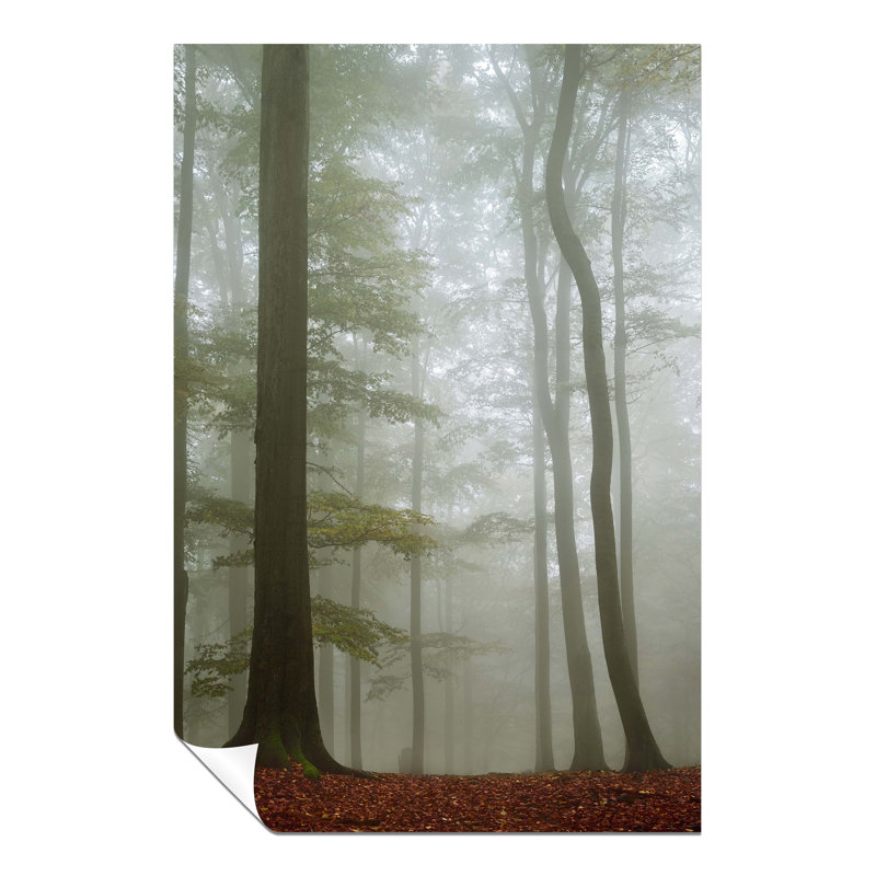 Forest Tall Trees - No Frame Print, 76cm H x 51cm W