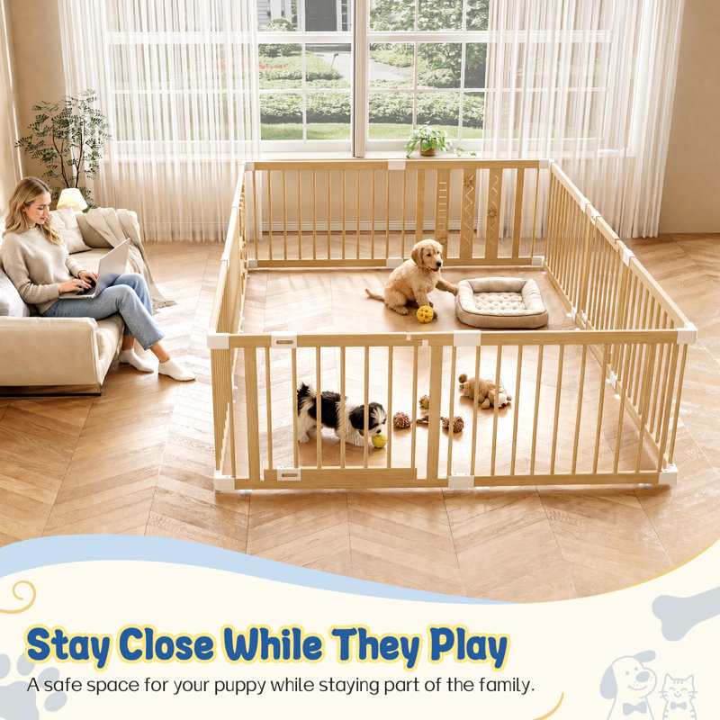Parc de jeux d'intérieur en bois pour chiots et petits chiens, 61 cm (24 pouces), 10 panneaux, H 24 po x l 64 po x P 96 po