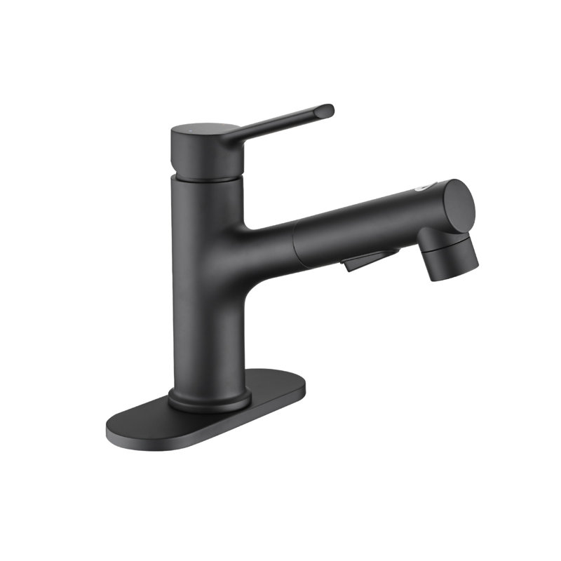 Single Handle Stainless Steel Bathroom Sink Faucet with Pull-Out Sprayer, Matte Black