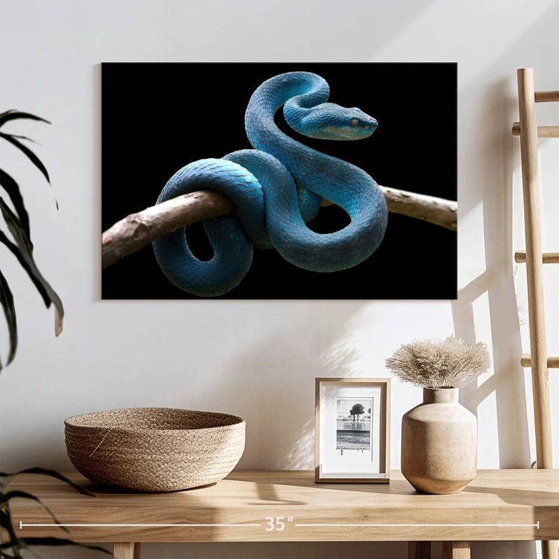 Brampt Blue Viper Snake, 16" H x 24" W