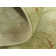 Moore Oriental Indoor Rug