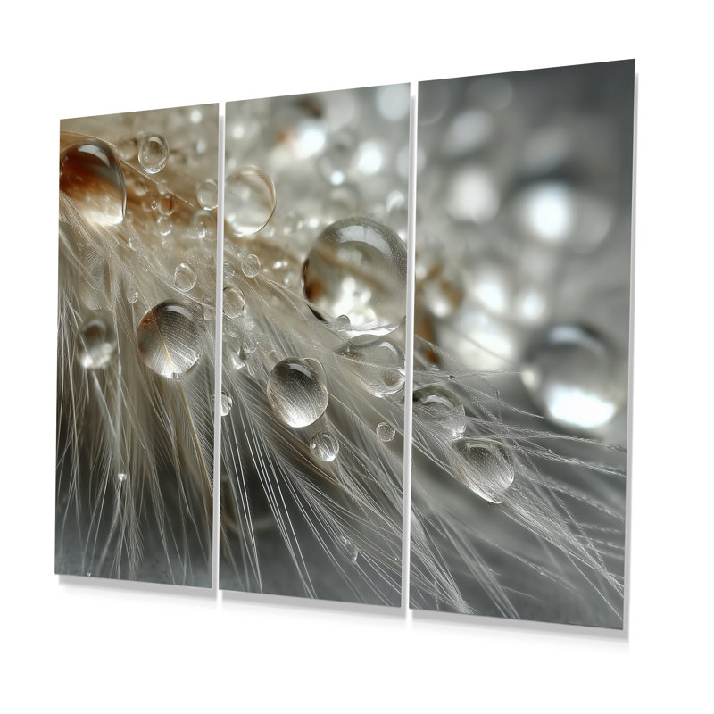 «Winter Feather Water Droplets - Abstract Collages», ensemble de reproduction d'art mural, H 32 po x l 48 po, Toile tendue