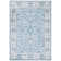 Delmer Performance Oriental Rug