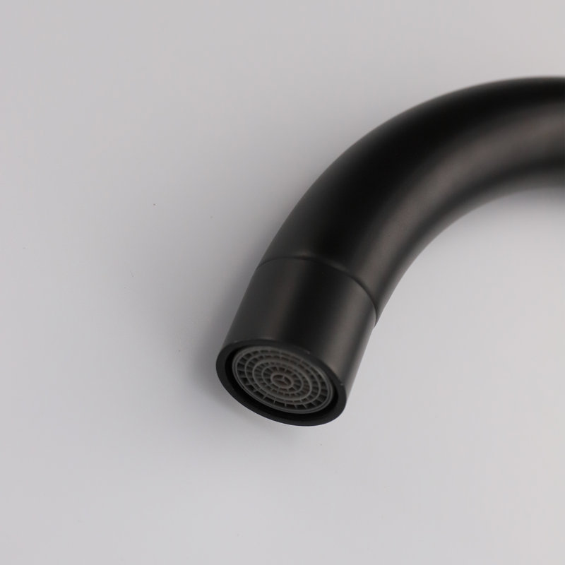 Single Handle Kitchen Faucet , Black Finish