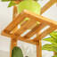 Alexander Free Form Multi-Tiered Rubberwood Plant Stand-1396374051