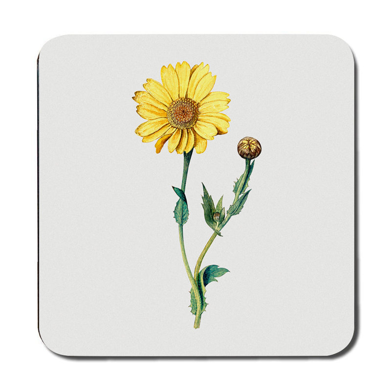 Designer Constellation Placemat And Coaster Set 12 Piece With Wood Bottom Cancer Pattern Edition