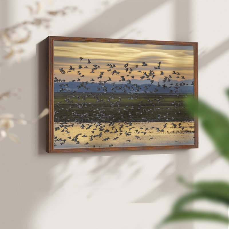 Coucher de soleil couchant - Reproduction encadrée - Restickable, H 8 po x l 10 po, Noyer