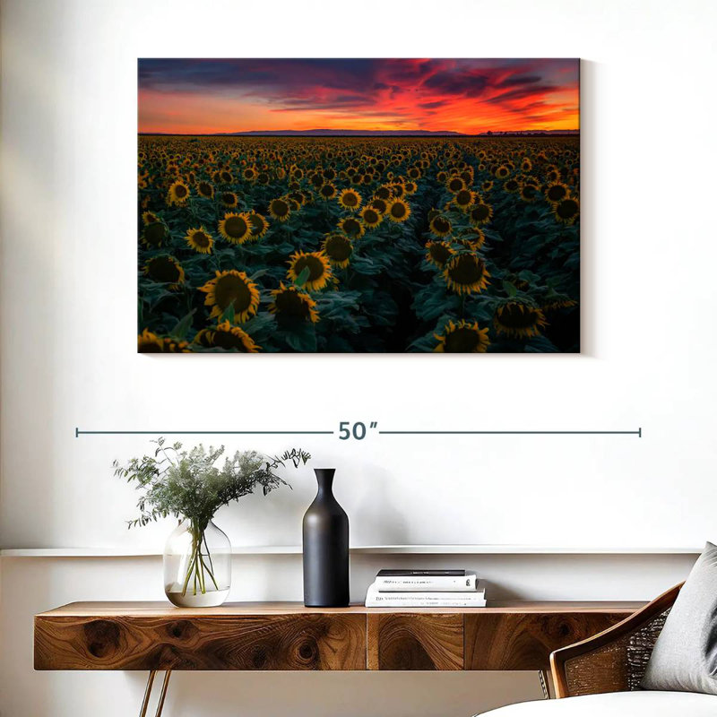 Alvord Sunflower Field Rows