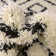 Attore Geometric Indoor Rug