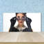 Alyisha 50cm W x 100cm L Glass Peel and Stick Panel