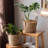 French Country Woven Planter Basket-1190632234