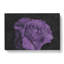 Lone Purple Rose - Wrapped Canvas-56628995