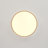 Dual Tone 5 - Segment Dip Switch Dimmable Led Round Flush Mount-921974628