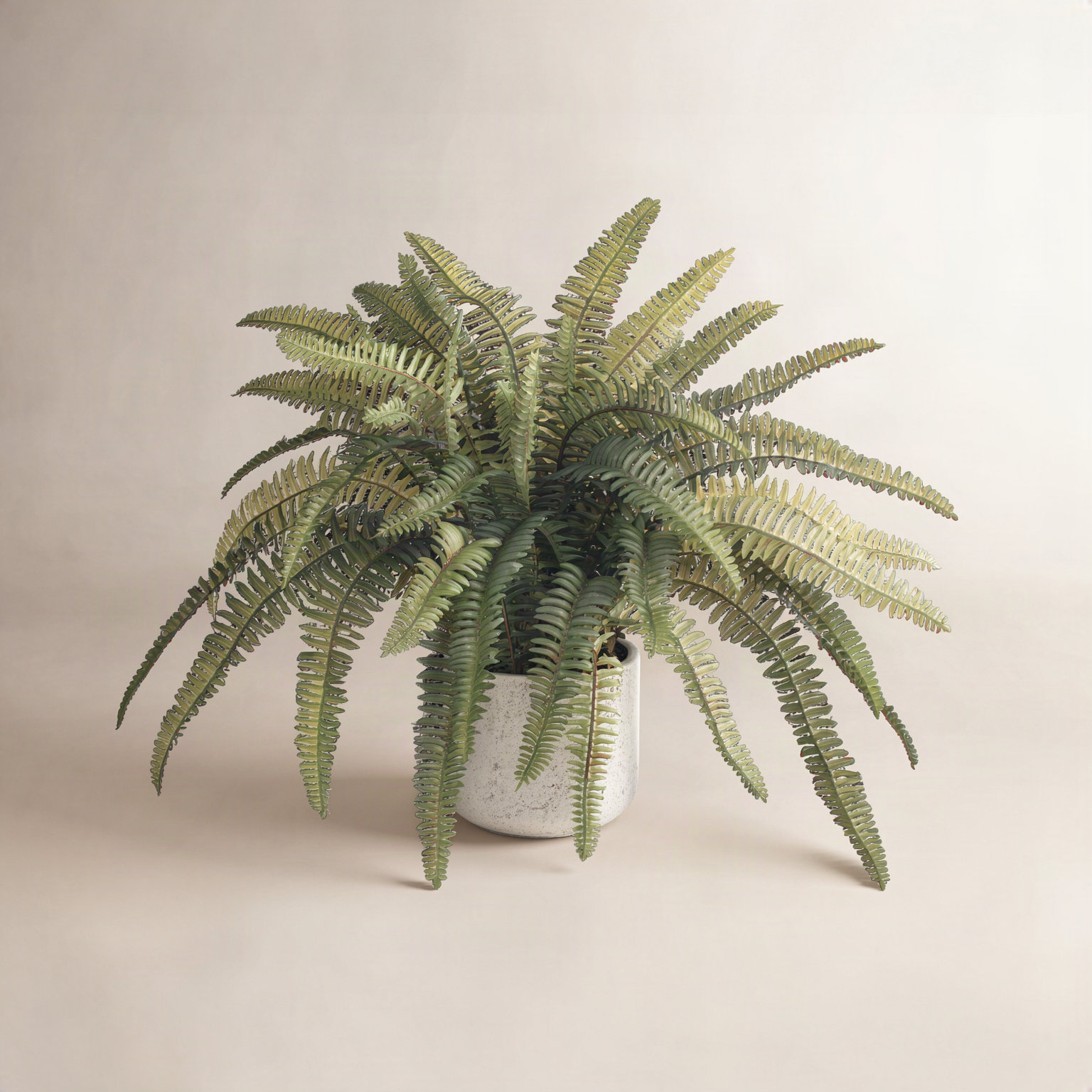 14'' Faux Fern Plant in Stone Pot