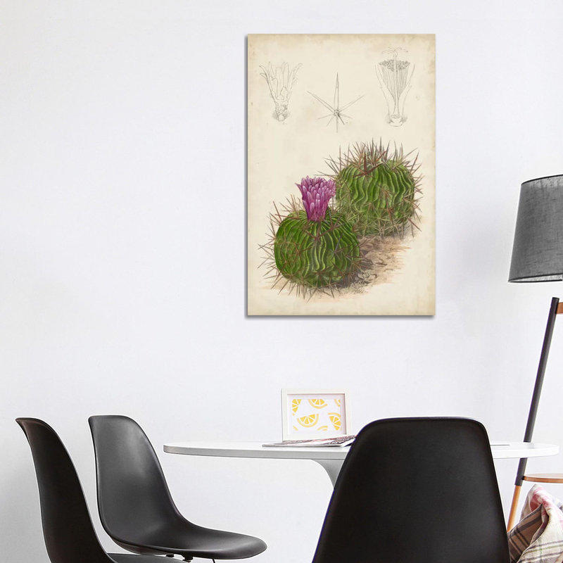 Antique Cactus II 1 Piece Wrapped Canvas Painting, 101.6cm H x 66.04cm W x1.905cm